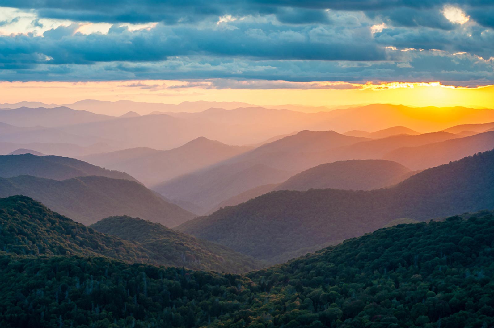 Body Positive Yoga Summer Camp Blue Ridge Mountains Retreat