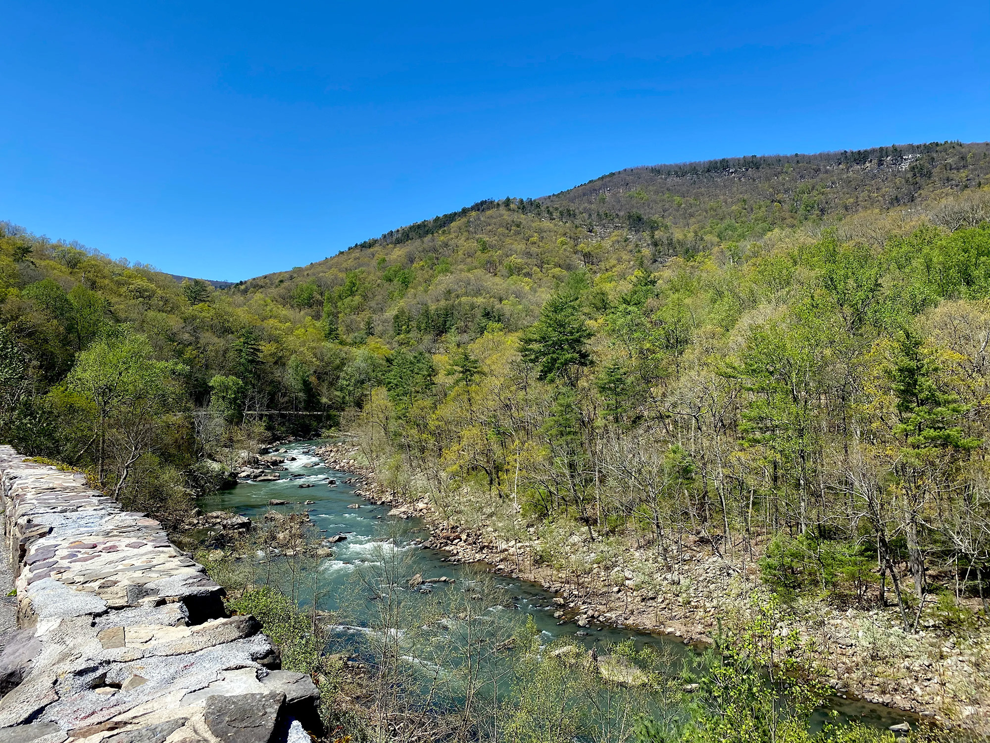 Body Positive Yoga Summer Camp Blue Ridge Mountains Retreat